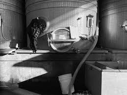 Image result for Sandalwood Spice 1990 Tracer