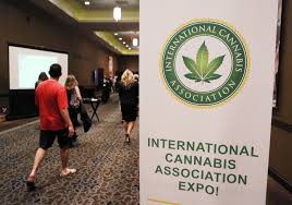 Marijuana conventioneers try to apply business experience to emerging  market