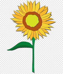 Bunga tumbuhan ini sangat khas: Desain Bunga Matahari Umum Bunga Potong Biji Bunga Matahari Daun Daun Bunga Matahari Png Pngegg