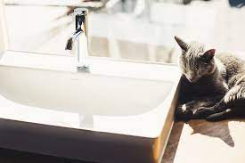 ( 0.0) out of 5 stars. Industry News Hotel Designs