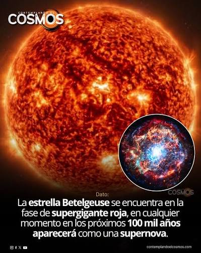 Betelgeuse, la estrella que marca el hombro de la constelación de Orión, se  encuentra actualmente en la fase de supergigante roja, la etapa final en la  vida de las estrellas masivas antes