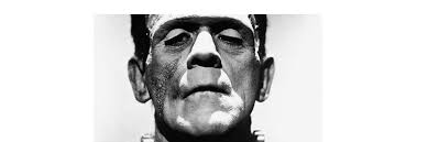 The Death of the Climate Activist