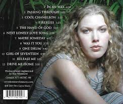 Picking Up Pieces by Bonnie Whitmore (CD, 2004)