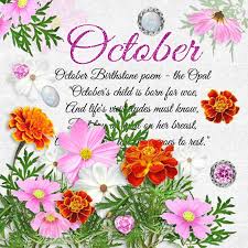 October Flowers Images October Birth Flowers October Birth Stone October Flowers
