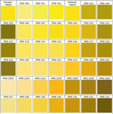 25 Best Pms Color Codes Images In 2019 Pms Colour Color