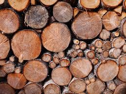 6008 firewood trl, greensboro, nc 27410. Free Firewood November 2020 New Garden Friends Meeting