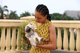 Cynthia Burrell, a massage therapist whose home-based business has been  shuttered in the coronavirus disease (COVID-19) outbreak, feeds her chicken  Speck in her backyard in Seattle, Washington, U