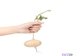 We did not find results for: Jicama Plant Root Recipes Nutrition Health Benefits Factdr