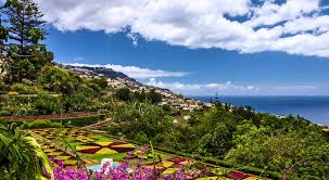 Ein super schöner botanischer garten sehr gut gepflegt und ganz viel zum anschauen wer cactuse mag ist der botanische garten ist einen besuch wert. Botanischer Garten In Funchal Skr Reisen