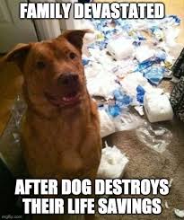 Pin By Laura Lee On Humor In 2020 Silly Jokes Haha Funny Funny Relatable Memes