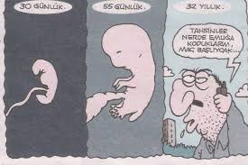 Karikatur Panosundaki Pin