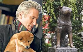 Its story of loyalty to its owner is without any hachikō is a akita inu dog. Richard Gere And Hachiko The Most Faithful Dog In History