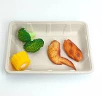4D Tray 100% Compostable Sugarcane Tray Bagasse Biodegradable Food Dishes Rectangle Plate