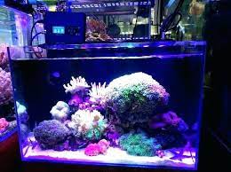 Mars Aqua 300 Watt Led Modification Mylife Led Aquarium Lighting Aquarium Lighting Bay Lights