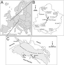 Domichnial Borings in Serpulid Tube Walls: Prosperous Benthic Assemblages  in the Cretaceous of France and the Czech Republic