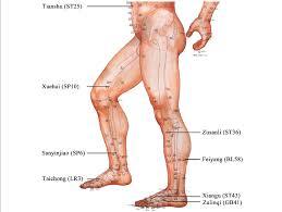 Acupuncture Points Chart Legs Best Picture Of Chart