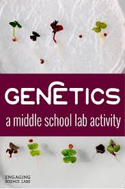 I Love This Activity For Collecting Data On Genetic Crosses The First One Is Pretty Si Middle School Science Experiments Plant Science Life Science Activities