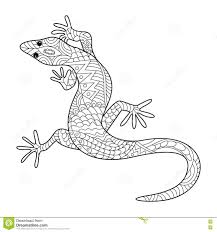 Livro De Colorir Para Adultos Pesquisa Google Coloring Books Animal Coloring Pages Coloring Pages