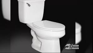 Le nettoyeur de toilette automatisé. Histoire Des Toilettes Du Tabouret D Aisance Au Wc Minutefacile Com