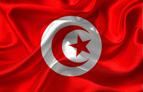 View tyrkia flagg fargelegge pics. Tyrkia Flagg Landet Gratis Bilde Pa Pixabay