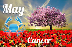 Those of you who are single should be able to find a suitable mate during 2020. Horoscope Cancer May 2020