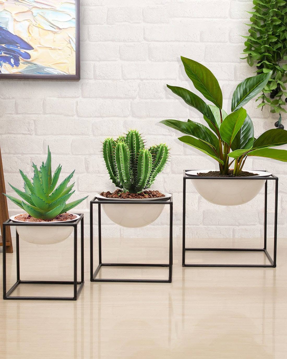Cube frame half planter product image