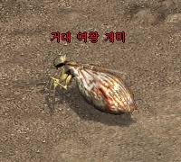 거대여왕개미