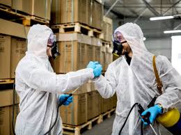 Call 0203 600 0401 24 hour pest control. Pest Control Farringdon Ec1 Expert Pest Service In Farringdon