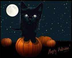 All of these halloween background images and vectors have high resolution and can be used as banners, posters or wallpapers free halloween background photos. Free Scary Halloween Backgrounds Wallpaper Collection 2014