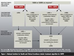 Image result for Medications in COPD Management