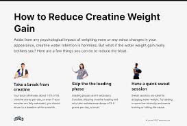 Creatine Weight Gain Is It Fat Water Retention Or Lean Muscle Levels