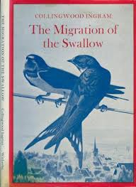 Search for "Ingram" in lastname