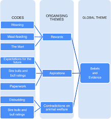 Examples Of Thematic Analysis Of Focus Group Data For The Global Theme Download Scientific Diagram
