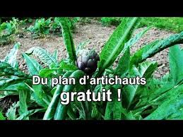 Epingle Sur Jardin