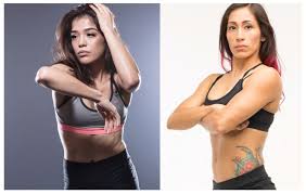• psicologia juridica (3ª entrega more. Levy Saul Marroquin Fight News Unlimited