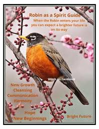 Your Animal Spirit Guide For February 6 Is The Robin Witches Of The Craft Animal Spirit Guide Animal Spirit Guides Spirit Animal Meaning
