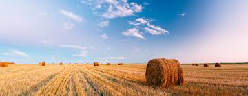 Obituary of Una Rosemary Roberge