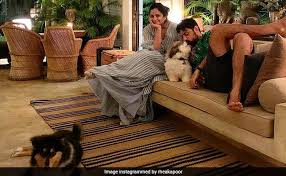 Following that he left india and enrolled into bond university, australia, where he completed his post graduation in film and television. Fa5nlloi5qauim