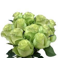 Mint green has been an ultra trendy color for the past few years, and with its versatility as a pastel cool color, it is easily paired with most other shades of the rainbow. Long Stem Lime Green Roses Fresh Roses Mint Green Roses Globalrose