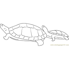 They love each free dinosaur coloring page and it keeps these little ones busy for hours, along with dragon coloring pages, which closely resemble dinosaurs. Turtle Coloring Pages For Kids Printable Free Download Coloringpages101 Com