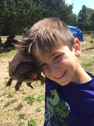 Just saw this come in!