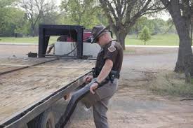 Winton enjoys element of freedom