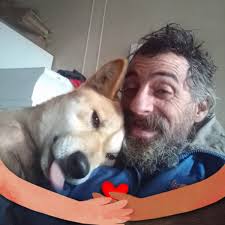 Some of the only pure-bred Dingos left in Australia live