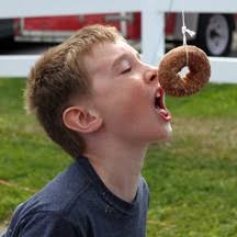 Fall Harvest Fest at Orchard Country Winery