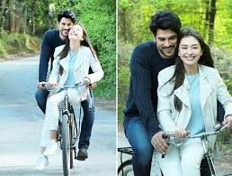 Kemal Nihan Turkish Actors Kara Actresses