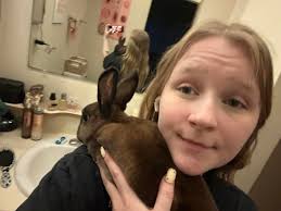 Scammer alert, friends. We've officially made it. Not because of the  thousands of bunnies we've rescued. No…we've made it because scammers have  arrived in our comment section. Enter today's con artist: “Mark