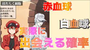 はたらく細胞】赤血球ちゃんと白血球さんを徹底解説！実際に出会える確率はどのくらい？ - YouTube
