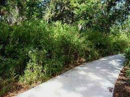 Maybe you would like to learn more about one of these? Macon Rivercane Lewis Bamboo