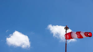 Berlin-Brandenburg: Sonnig und warm, aber Waldbrandgefahr steigt! - Imagen principal del artículo