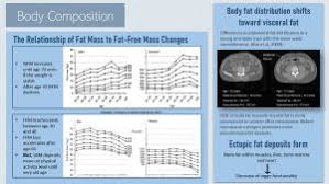 Image result for Body Composition Changes with Aging